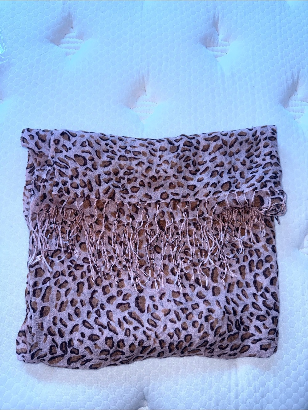 175.Leopard Print Fringed Fashion Scarf - Brown - Picture 1 of 3